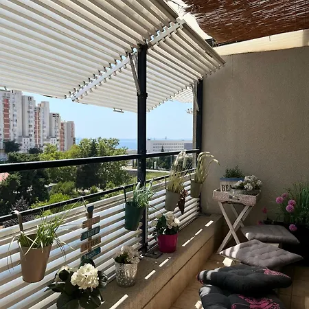 Sunny Day *