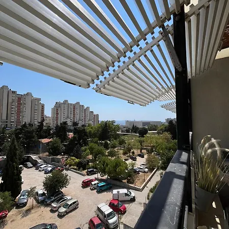 Sunny Day